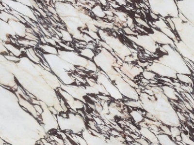 Calacatta Viola Marble